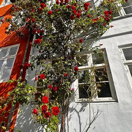 Beautiful Townhouse Villa Copenhagen